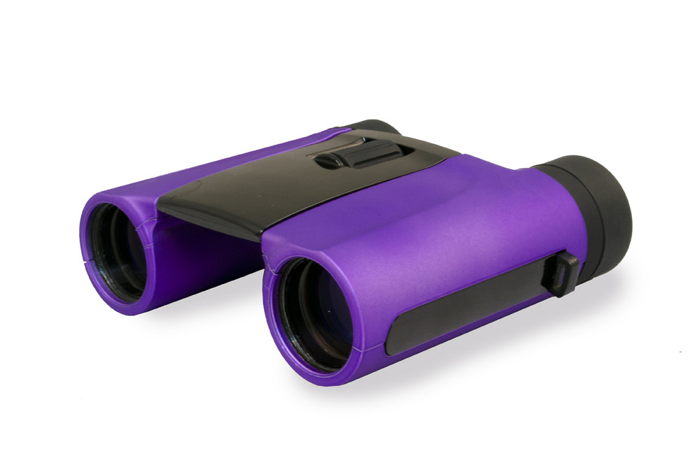 Binokulární dalekohled Levenhuk Rainbow 8x25 Amethyst