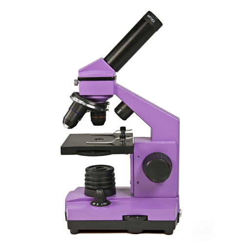 Levenhuk Mikroskop Rainbow 2L NG Amethyst