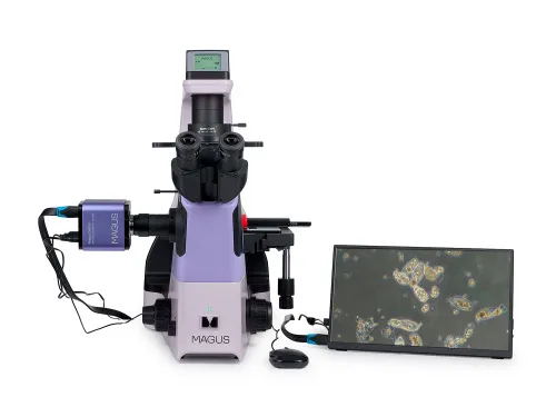 Biologický inverzní digitální mikroskop MAGUS Bio VD360 LCD