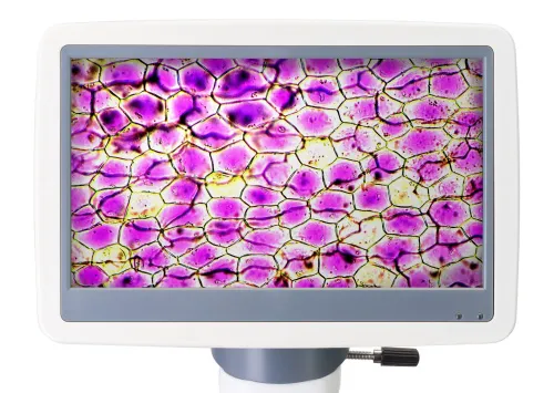 Digitální mikroskop Levenhuk D85L LCD