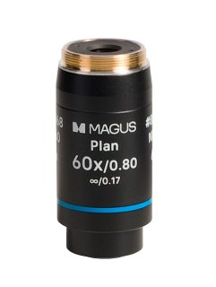 Rovinný achromatický objektiv MAGUS 60x/0,80 ∞/0,17
